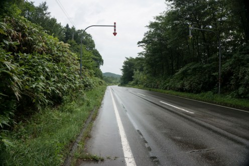 A brief break in the rain.  This place is very lush.
